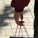 하모토스트 이미지