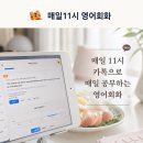 영어회화 | 매일 11시 영어회화 후기, 하루 4문장 카톡으로 부담 없이 매일 영어공부 습관 만들기