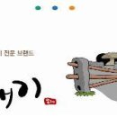 제주청정돼지 이미지