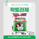 소망종합 동물병원 이미지