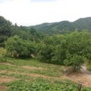 덕산면043 이미지