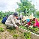 케어팜 | 한국보건복지인재원 장기교육 후기｜지역사회 통합돌봄 사례 (진천군 케어팜·노인의료돌봄)
