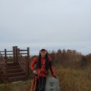 가야(주) 이미지