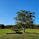 머체왓숲길영농조합법인 이미지