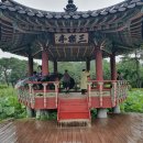 다금식당 이미지