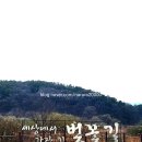 옥천광역친환경
