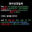 오늘의 '영어성경 쇼츠'(창 17-11강) 창세기 17장 11절(Genesis 17:11) 이미지