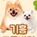 뉴케어 동물병원 이미지