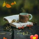 오늘의 명언 묵상하기 이미지