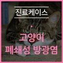 민락동물병원 이미지