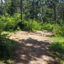 칠천도편백숲 이미지