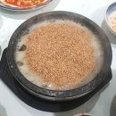 강릉맛집 해미가 가성비 좋은 횟집(회, 물회 세트메뉴)