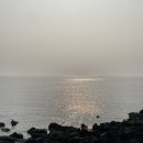 봄빛 코티지 | 제주도 한경면 숙소 봄빛코티지 (스냅촬영가능한!)