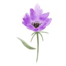 도그마루 강아지고양이 서초강남점 이미지