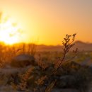 햇빛마루 이미지