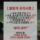 숲무인텔 | 영양 자작나무숲 전동차 시간표, 입장료 TIP~~