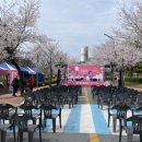 찾아가는 문화체험 놀이터 | 벚꽃도 문화도 풍성했던 영월 하송리 봄날 이야기🌸 | 찾아가는보부상 | 영월문화도시
