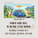 현대해상하이카 | 자동차 보험 갱신, 꼭 체크할 3가지 항목은 (현대해상 다이렉트 후기, 주요 담보, 할인 특약, 유의사항)