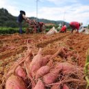 지리산농협 APC 이미지