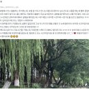 기타(야간) | 상하이 우전 수향마을 야간투어 가격 할인코드 공유