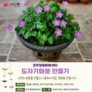 차문화센터2 이미지