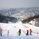 오크밸리 스노우파크 이미지