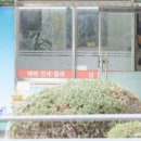 (단지내)서울e부동산중개사무소 이미지