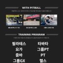 핏불 피트니스 이미지