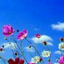 서부초등학교삼거리 이미지