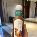 호텔네오 | 장가계 국립공원 근처 4성급 호텔 네오달 (구 하얏트)