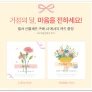 로망 | 연예인 찐애정템 바디괄사마사지기후기 "떼르디아로망 BB괄사 슬리밍오일 기프트 세트"