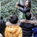 후신농장 이미지