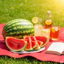 전용용기+납부필증 | 여름 수박! 🍉 고르는 법부터 껍질 활용, 현명한 처리(분리수거)까지