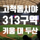 0601 고척스카이돔 3루 3층 지정석 313구역 시야 및 키움 대 두산 직관 후기
