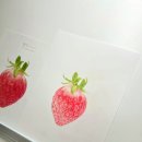 봄맞이 꽃그림 보태니컬 아트 이미지