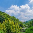 종로-종로-종로-종-140 이미지