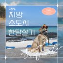 정선 황토 약초 게스트하우스 | 지방 소도시 한달살기 정책 가이드 (신청절차, 추천지역, 체류비지원)