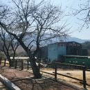 육모정허브찜질방 이미지