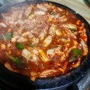 바다속친구들