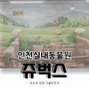 인천 서창 실내동물원 아이와 함께 가볼 만한 곳 요즘 핫플 쥬벅스