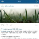 카오스몰