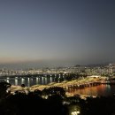 라이언의보물섬
