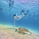 마중 가던 길 | [보홀여행] 1일-3일차: 환전/툭툭/숙소/맛집/반딧불이투어/호핑투어/마사지/불쇼