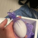 구정농장 | 낭만기러기 거위알 유정란 명절선물추천 설날선물추천 구정선물로 좋은 보양식