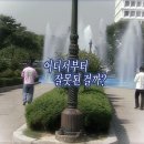 삼성빌딩 | 삼성 미워서 쓰는 63빌딩 퐁피두센터 한화 관람 후기