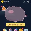 돈이돼지 이미지