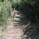 흑산초등학교 홍도분교장 이미지