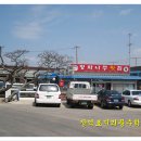 정자나무횟집