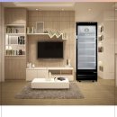 499 | 수직 아이스크림 냉동고 쇼케이스 스테닉 FT499FAR 사용 후기