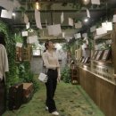 엑스룸 이미지
